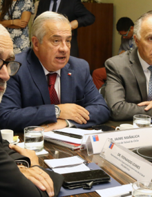 reunión regional con países miembros del Prosur para abordaje y medidas conjuntas frente al COVID-19 