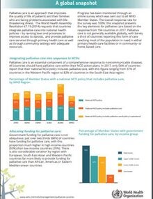 Palliative care for noncommunicable diseases. A global snapshot
