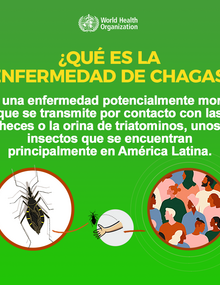 Redes sociales: ¿Qué es la enfermedad de chagas?