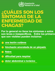 Redes sociales: ¿Cuáles son los síntomas de la enfermedad de Chagas?