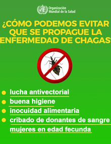 Redes sociales: ¿Cuáles son los síntomas de la enfermedad de Chagas?