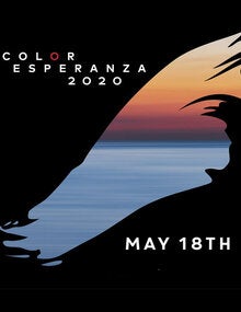 Color de esperanza 2020