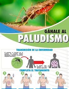 Imagen Afiche: ¡Gánale al paludismo! 