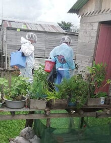 Vaccination border towns 