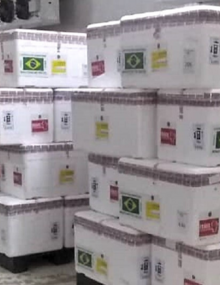 Vacunas donadas por Brasil