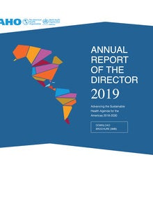 Annual Report of the Director 2019