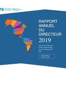Rapport Annuel du Directeur 2019