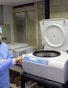 COVID-19 testing capacity