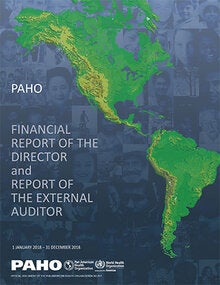 Financial Report of the Director and Report of the External Auditor. 1 January 2018 – 31 December 2018