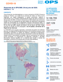  COVID-19 - Respuesta de la OPS/OMS Reporte 14