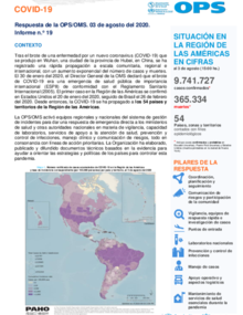 COVID-19 - Respuesta de la OPS/OMS Reporte 19 