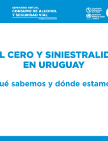 Presentacion Estudio Uruguay 