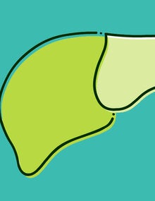 Um ícone de um fígado