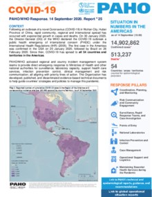 COVID-19 - PAHO/WHO Response, Report 25