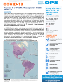 COVID-19 - Respuesta de la OPS/OMS Reporte 25