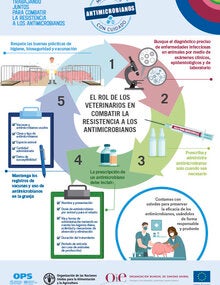 Infografía PDF print: "El rol de los veterinarios en combatir la resistencia a los antimicrobianos"  
