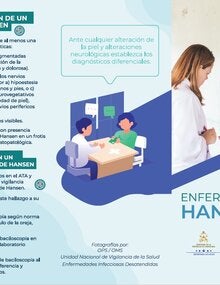 PortaTrifolEnf.Hanselhnd