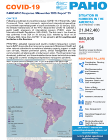 COVID-19 - PAHO/WHO Response, Report 33