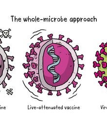 covid-19-vax-explained