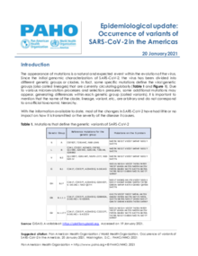 Epidemiological Update: Occurrence of variants of SARS-CoV-2 in the Americas - 20 January 2021