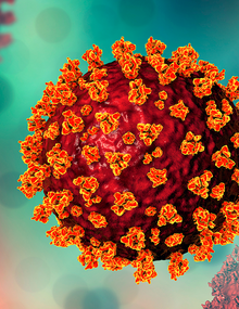 coronavirus