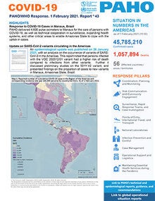 COVID-19 Situation Report, n.43 (1 February 2021)
