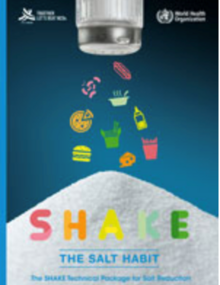 SHAKE menos sal, más salud. Guía técnica para reducir el consumo de sal