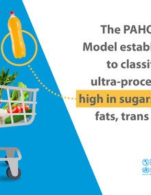 Nutrient Profile Model - Social Media card 2