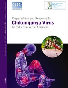Preparedness and Response for Chikungunya Virus: Introduction in the Americas