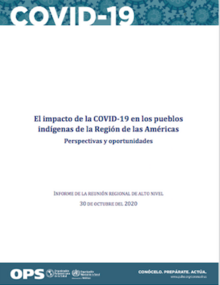El impacto de la COVID-19 en los pueblos indígenas de la Región de las Américas: Perspectivas y oportunidades. Informe de la reunión regional de alto nivel, 30 de octubre del 2020