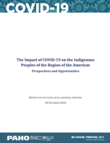 The Impact of COVID-19 on the Indigenous Peoples of the Region of the Americas: Perspectives and Opportunities. Report on the High-Level Regional Meeting, 30 October 2020