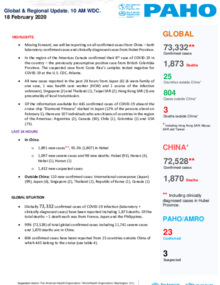 PAHO COVID-19 Daily Update: 18 February 2020