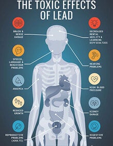 Infographic: The toxic effects of lead