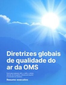 Diretrizes globais de qualidade do ar da OMS: partículas inaláveis (MP2,5 e MP10), ozônio, dióxido de nitrogênio, dióxido de enxofre e monóxido de carbono. Resumo executivo