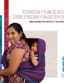 Estrategia y plan de acción sobre etnicidad y salud 2019-2025. Indicadores de impacto y de proceso