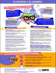 El alcohol y el cerebro: cómo afecta el cerebro