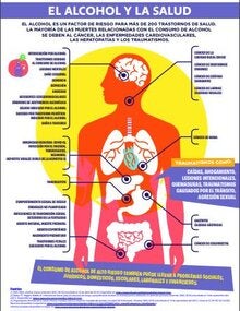 El alcohol y la salud