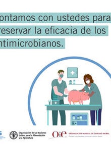 Resistencia a los antimicrobianos: GIF-1 a 5 "El rol de los veterinarios"