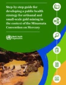 Step-by-step guide for developing a public health strategy for artisanal and small-scale gold mining in the context of the Minamata Convention on Mercury