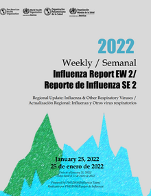 2_reporte_influenza