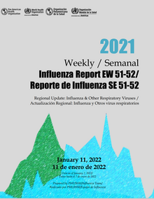 influenza_report