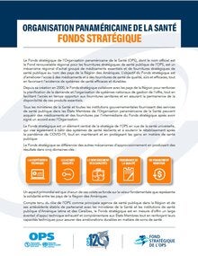Brochure Fond Strategique