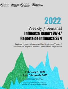 influenza_reporte4