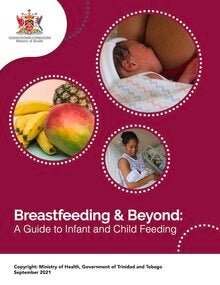 TRT-2: PAHO/WHO Breastfeeding and Beyond