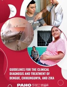 Guidelines for the Clinical Diagnosis and Treatment of Dengue, Chikungunya, and Zika