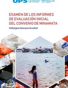 Examen de los informes de evaluación inicial del Convenio de Minamata. Hallazgos clave para la salud