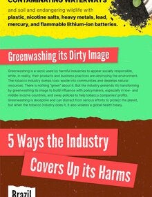 Dirty Secrets- How Big Tobacco Destroys the Environment & Hides it