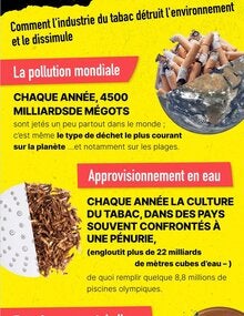 Infographie: Sales Secrets - Comment l'industrie du tabac détruit l'environnement et le dissimule
