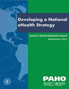 Developing a National eHealth Strategy