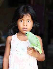 Día contra la Malaria en las Américas 2022